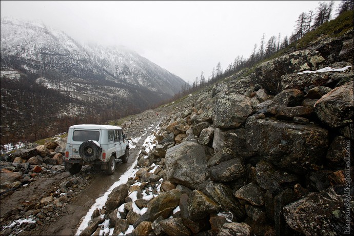 kodar2011_5.jpg