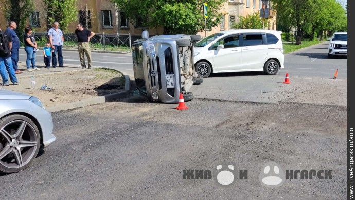 491-p1hus5n5vq1emekr31cebk8ul1il.jpg