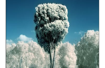 Gilad Benari .Фотография. Мечты, образы