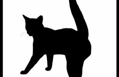 Черная кошка