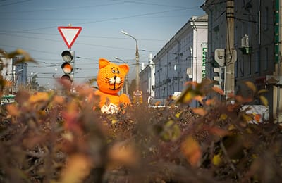 Не жди зеленый!