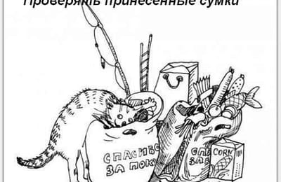 Обязанности домашнего любимца...