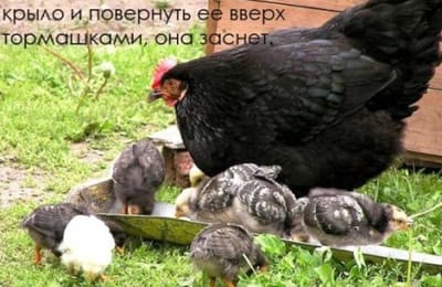 Интересные факты...