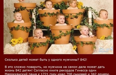 Интересные факты...