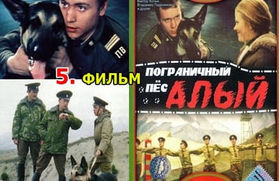 Золотой теленок_игра №128_ОТВЕТЫ