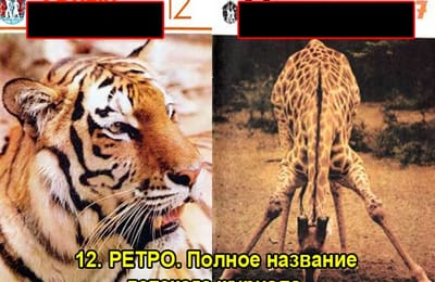 Золотой теленок_игра №134