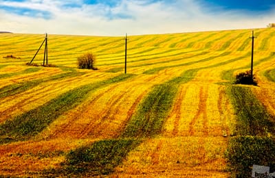 Лучшие фотографии России 2012
