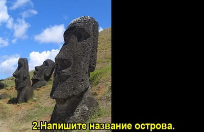 Золотой теленок_игра №142