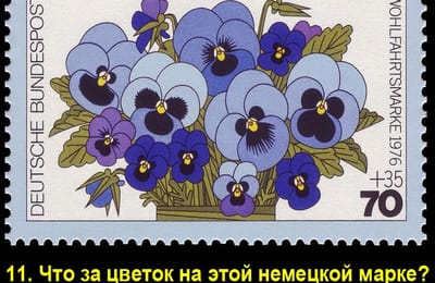 Золотой теленок_игра №145