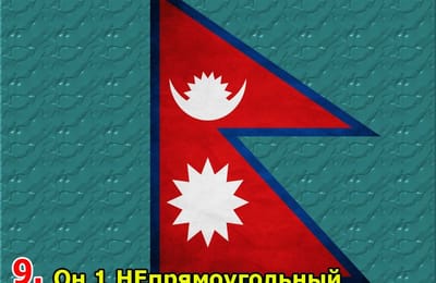 Золотой теленок_игра №150_ОТВЕТЫ