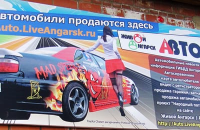 Наши новые друзья
