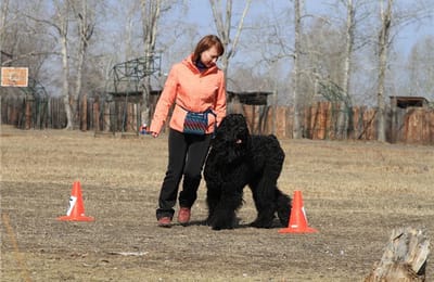 Группа любителей собаководов "Факир" приглашает принять участия в соревнованиях по "фигурному вождению"