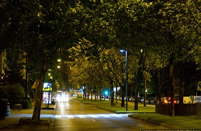 Освещение пешеходных переходов. Мнение Ангарчан.