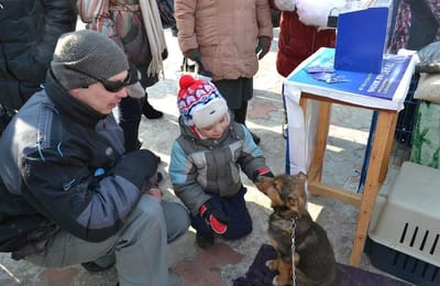Масленница в Ангарске