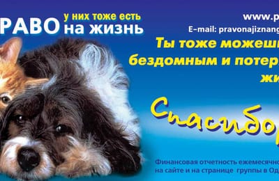 Обращение к владельцам нестерилизованных домашних животных