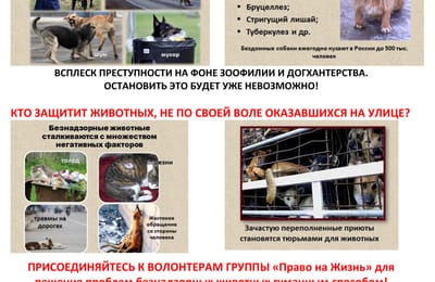 Ближайшие встречи волонтеров Благотворительного фонда "Право на жизнь"
