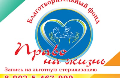 Мероприятия Благотворительного Фонда «Право на Жизнь»