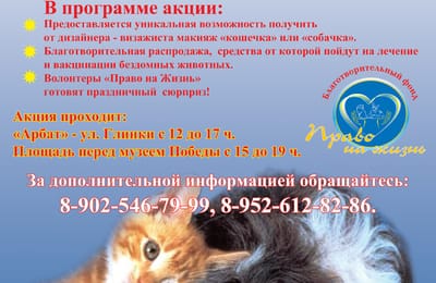 Итоги Акции помощи бездомным животным 31 мая