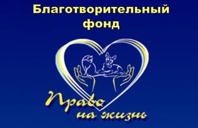 Презентация Благотворительного фонда "Право на жизнь"