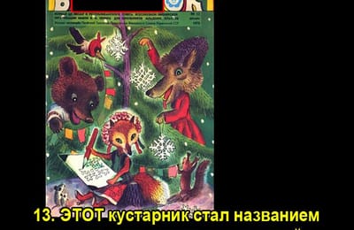 Золотой теленок_ИГРА №206