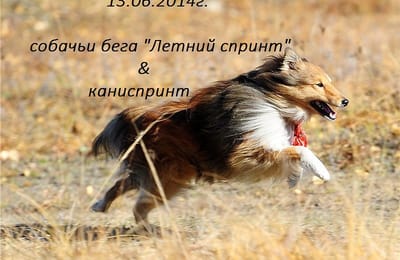 Приглашаем Всех желающих принять участие в собачьих бегах "Летний спринт" & "Каниспринт" которые пройдут 13 июня 2014 г.