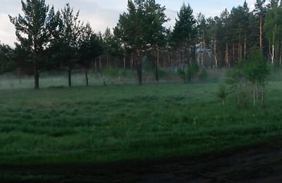 ОЛХА - 2014...