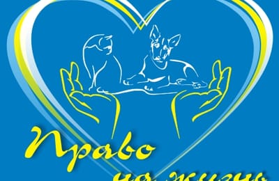 Нужна ваша помощь!!!