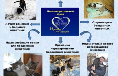 Я СМОГУ СПАСТИ СТОЛЬКО, СКОЛЬКО СМОГУ...