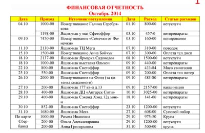 Отчет по работе фонда за октябрь 2014 года