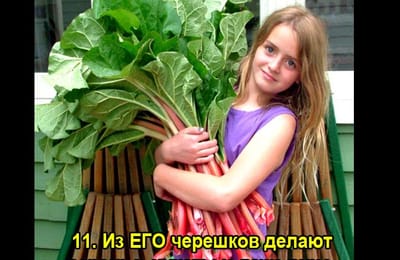 Золотой теленок_ИГРА №235
