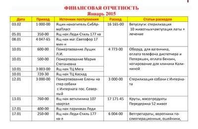 Отчет по работе фонда за январь 2015 года + объявления