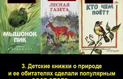 Золотой теленок_ИГРА №243