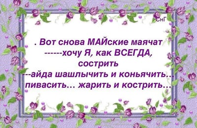 смс от Сиреги!