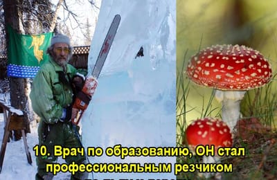 Золотой теленок_ИГРА №277 (Хобби)