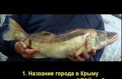 Золотой теленок_ИГРА №281-Флора и фауна