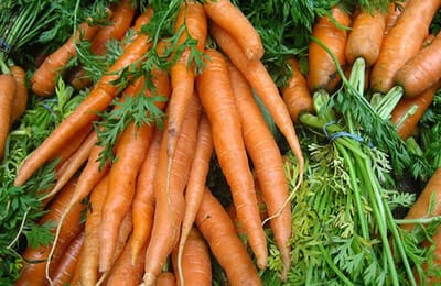10 продуктов, которые помогут очистить организм от никотина