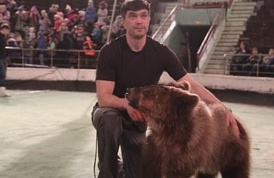 Хирурги сделали уникальную операцию глаз годовалому медвежонку в Иркутске
