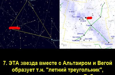 Золотой теленок_ИГРА №295