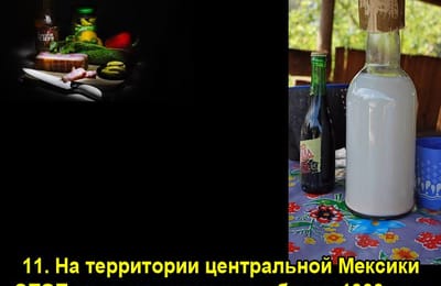 Золотой теленок_игра №302 (Алкоголь+Еда)