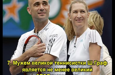 Золотой теленок_игра №315