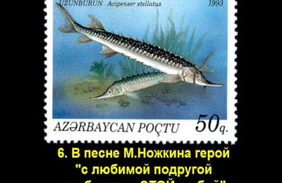 Золотой теленок_игра №318
