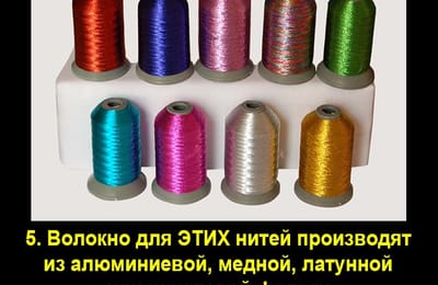 Золотой теленок_игра №320