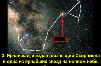 Золотой теленок_игра №321