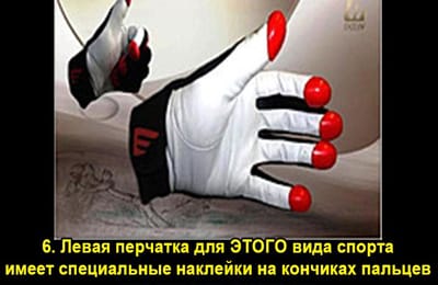 Золотой теленок_игра №327