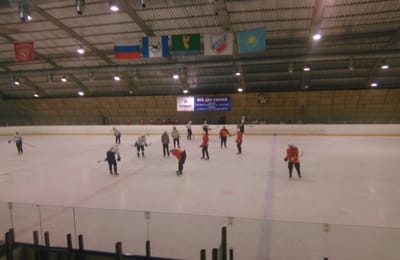 Выезд на хоккей