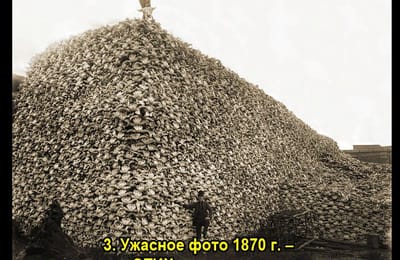 Золотой теленок_игра №344
