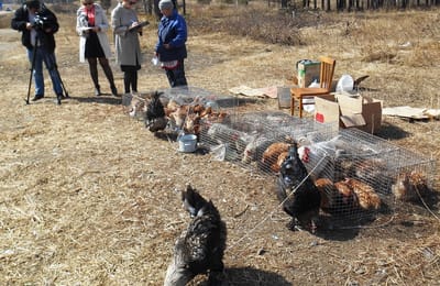 ТОРГОВЛЯ В РАЙОНЕ МАГАЗИНА «ДАЧНЫЙ» ЗАПРЕЩЕНА