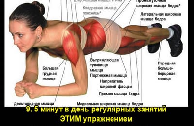 Золотой теленок_игра №355 (ПРИВЫЧКИ)
