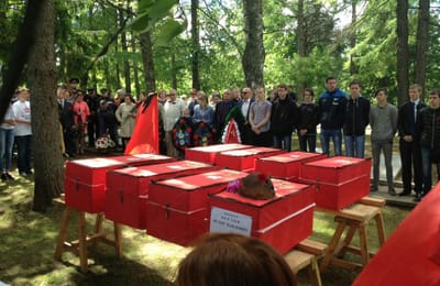 Белые журавли нашей памяти