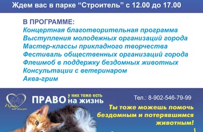 12 августа "Всемирный день защиты бездомных животных"